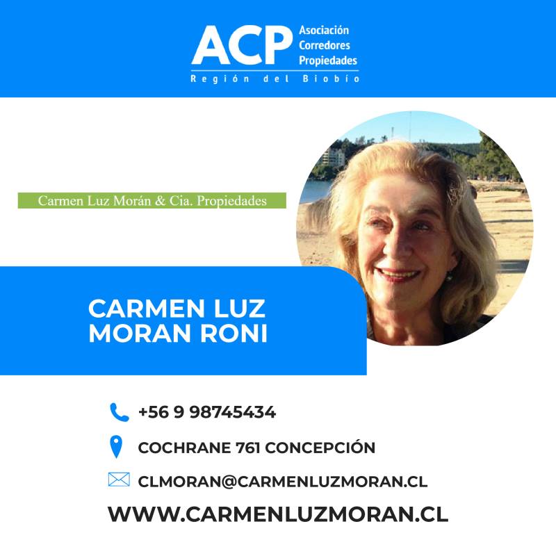 Carmen Luz Moran Propiedades